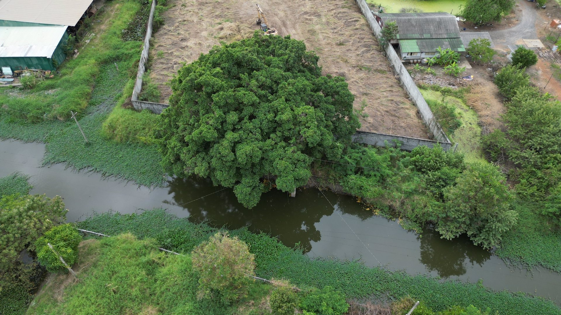 ขายที่ดิน-ขนาด-3-ไร่-1งาน-52-ตารางวา