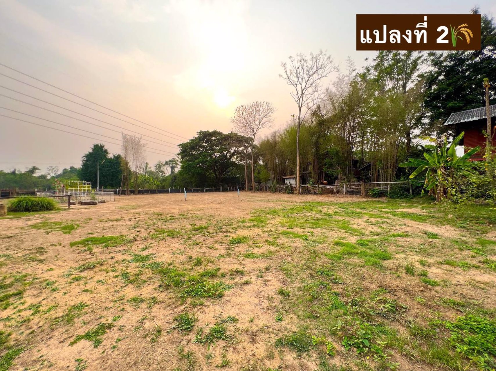 แคปชั่นคนโสด-ถ้าไม่อยากโสดมาซื้อที่-พร้อมโฉนด-ที่-แม่วังออแกนิกโฮม