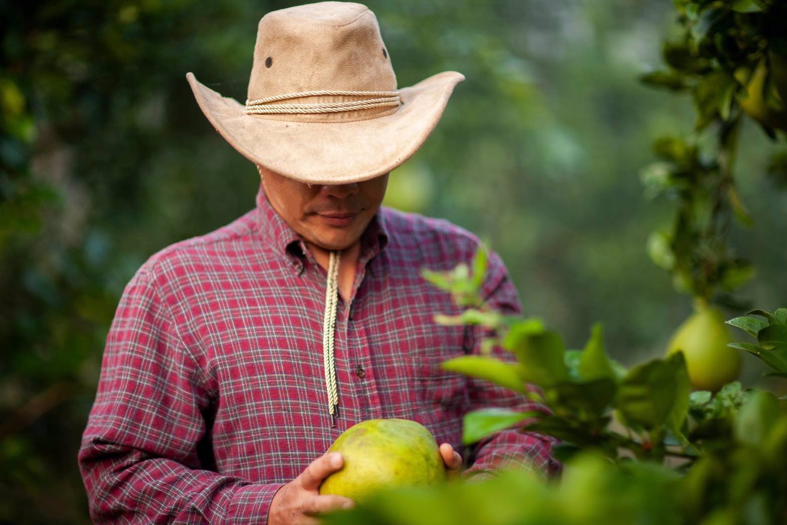 แคปชั่นคนโสด-ถ้าไม่อยากโสดมาซื้อที่-พร้อมโฉนด-ที่-แม่วังออแกนิกโฮม