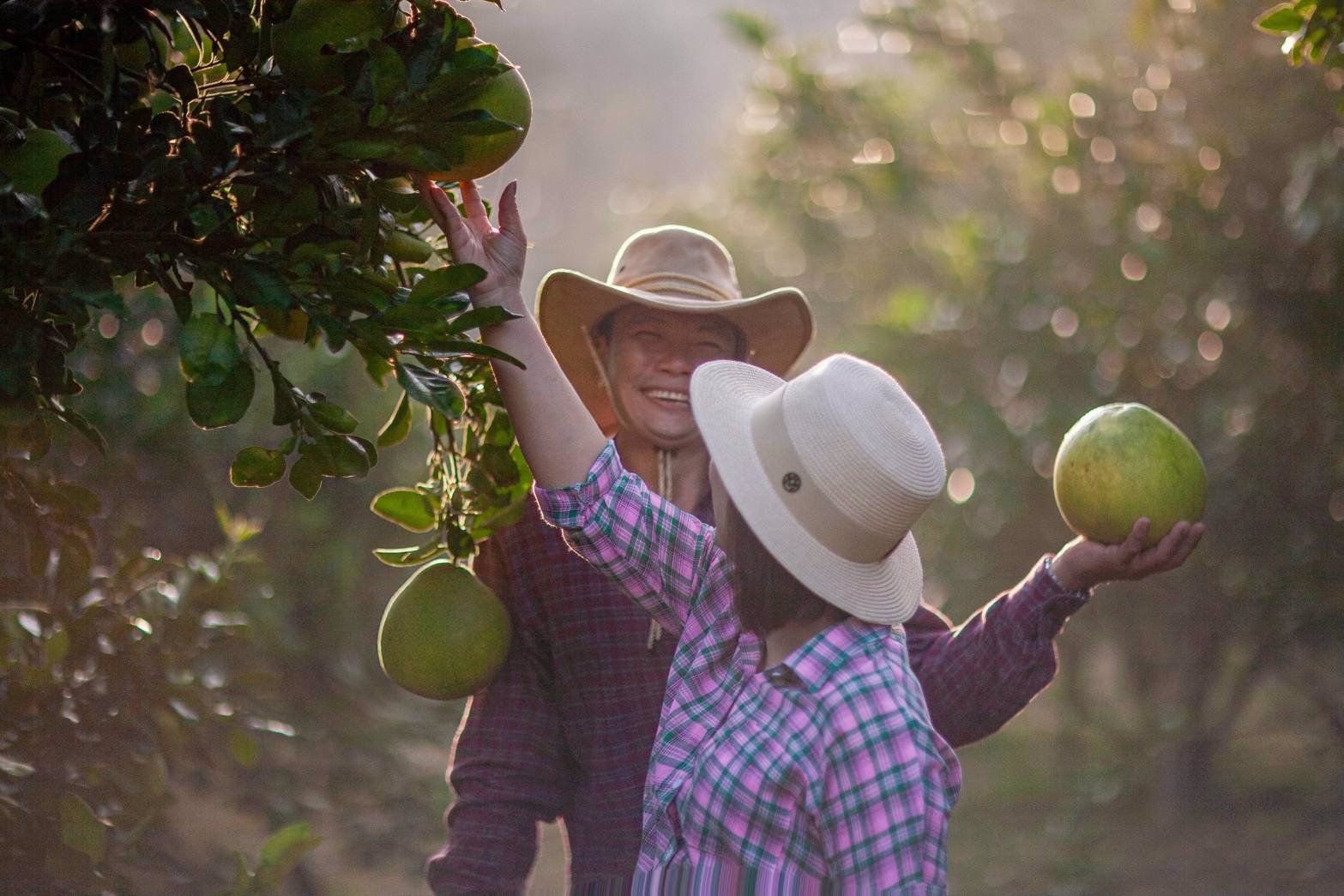 แคปชั่นคนโสด-ถ้าไม่อยากโสดมาซื้อที่-พร้อมโฉนด-ที่-แม่วังออแกนิกโฮม