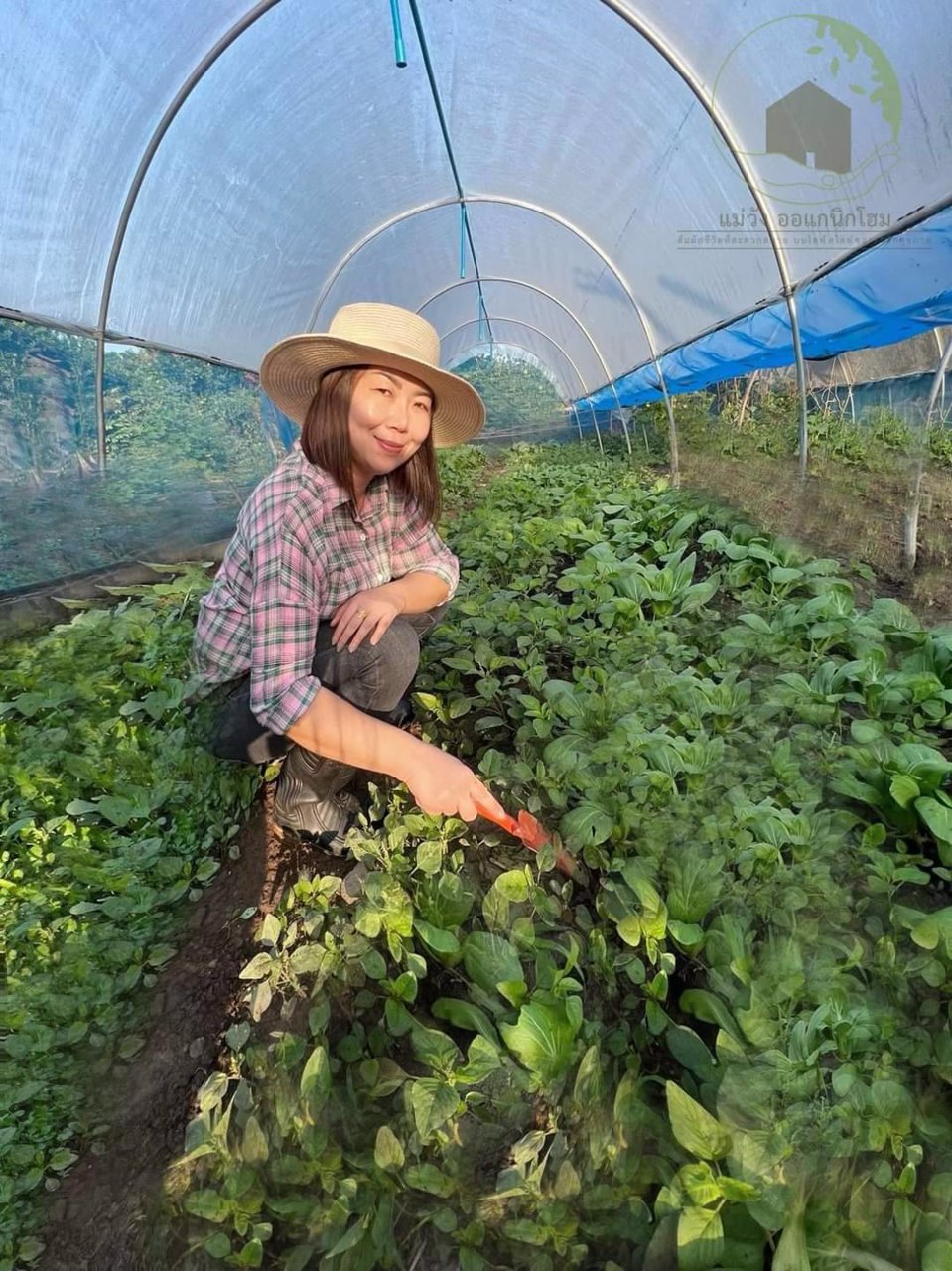 แคปชั่นคนโสด-ถ้าไม่อยากโสดมาซื้อที่-พร้อมโฉนด-ที่-แม่วังออแกนิกโฮม