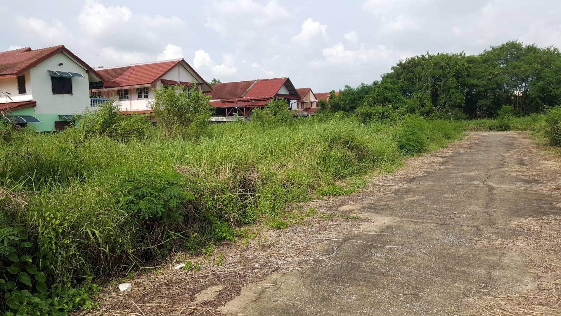 ขายที่ดินซอยทวีวัฒนา-21-ตรงข้ามหาวิทยาลัยกรุงเทพธนบุรี