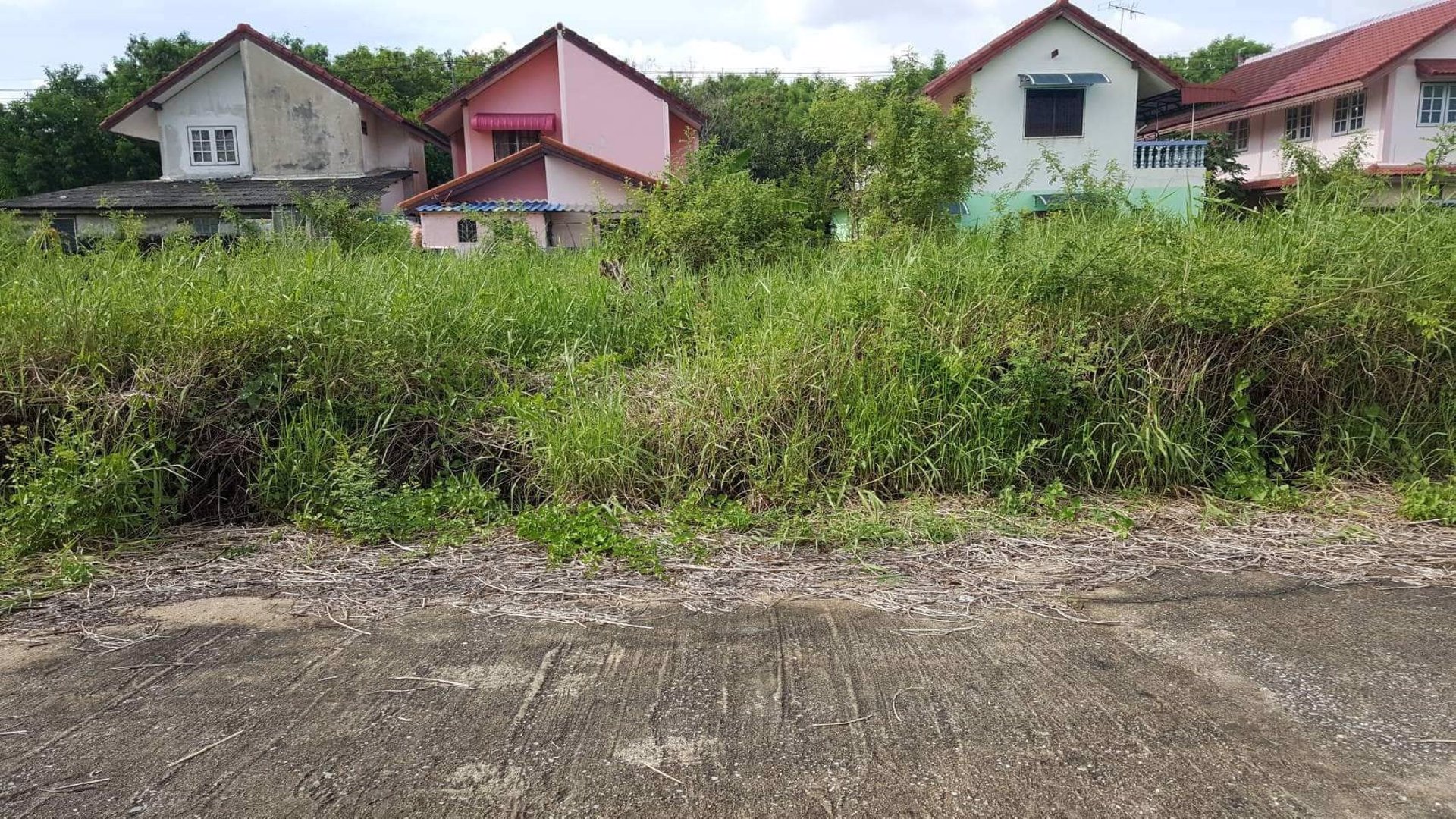 ขายที่ดินซอยทวีวัฒนา-21-ตรงข้ามหาวิทยาลัยกรุงเทพธนบุรี