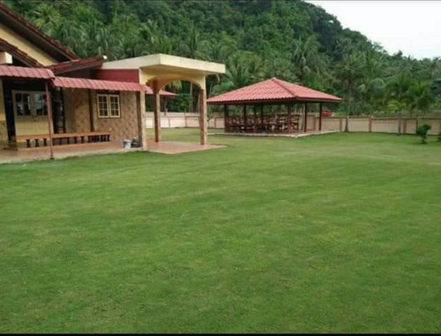 ขายที่ดินสวย-ทำเลดี-ติดทะเล-ติดภูเขา-11-ไร่-ปากน้ำ-ชุมพร