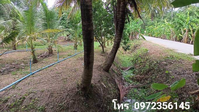 ขายที่ดินติดถนนสาธารณะ-เขตเทศบาลเหมืองใหม่-อำเภออัมพวา-สมุทรสงคราม