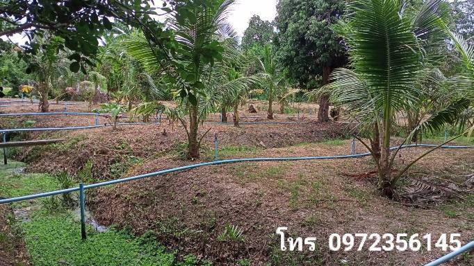 ขายที่ดินติดถนนสาธารณะ-เขตเทศบาลเหมืองใหม่-อำเภออัมพวา-สมุทรสงคราม