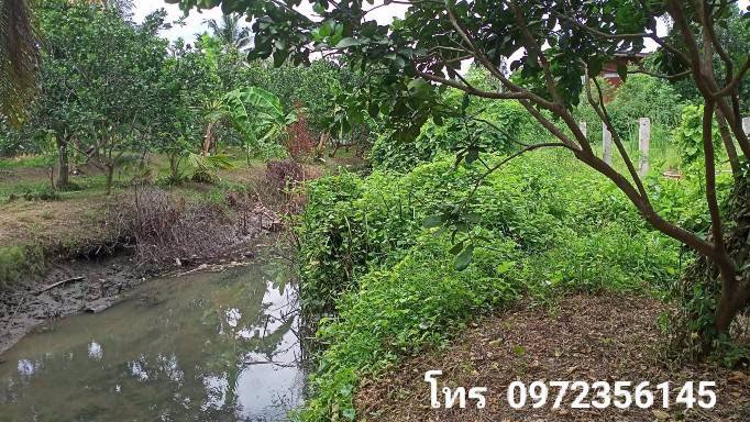 ขายที่ดินติดถนนสาธารณะ-เขตเทศบาลเหมืองใหม่-อำเภออัมพวา-สมุทรสงคราม