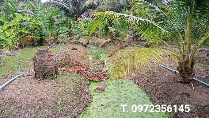 ขายที่ดินพร้อมสวน-เทศบาลเหมืองใหม่-อำเภออัมพวา-สมุทรสงคราม