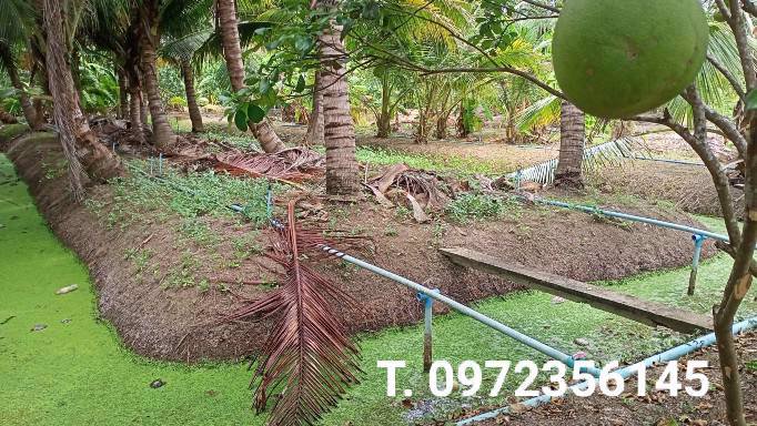 ขายที่ดินพร้อมสวน-เทศบาลเหมืองใหม่-อำเภออัมพวา-สมุทรสงคราม