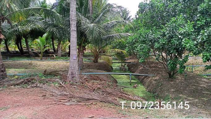 ขายที่ดินพร้อมสวน-เทศบาลเหมืองใหม่-อำเภออัมพวา-สมุทรสงคราม