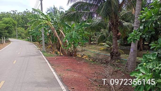 ขายที่ดินพร้อมสวน-เทศบาลเหมืองใหม่-อำเภออัมพวา-สมุทรสงคราม