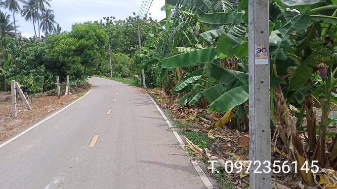 ขายที่ดินพร้อมสวน-เทศบาลเหมืองใหม่-อำเภออัมพวา-สมุทรสงคราม