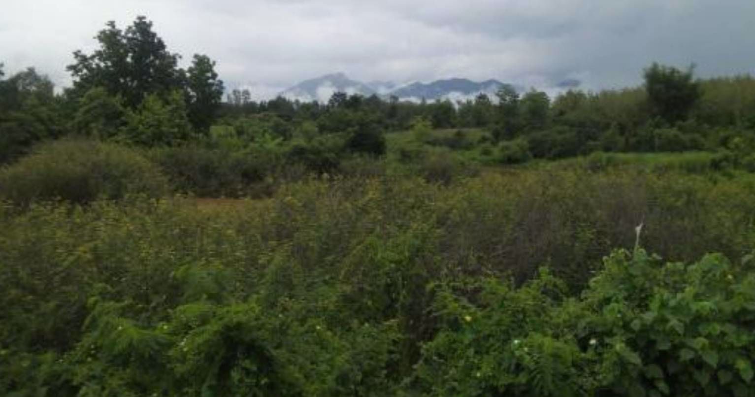 ขายที่ดินสวย-345-ไร่ติดทางหลวงใกล้สนามบินเพชรบูรณ์-ที่สวยบรรยากาศดี-ไม่ไกลจากแหล่งทองเที่ยวเพชรบูรณ