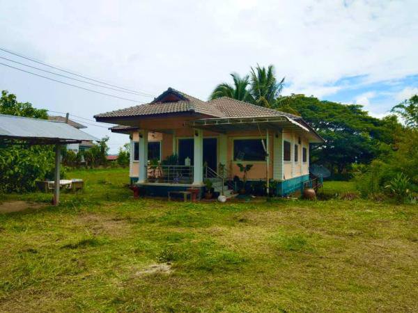 ขายด่วน-บ้านเดี่ยวชั้นเดียว-ริมสระน้ำ-บนพื้นที่-3งาน-656ตรว-บรรยากาศดี-ป่าแดด-เชียงราย