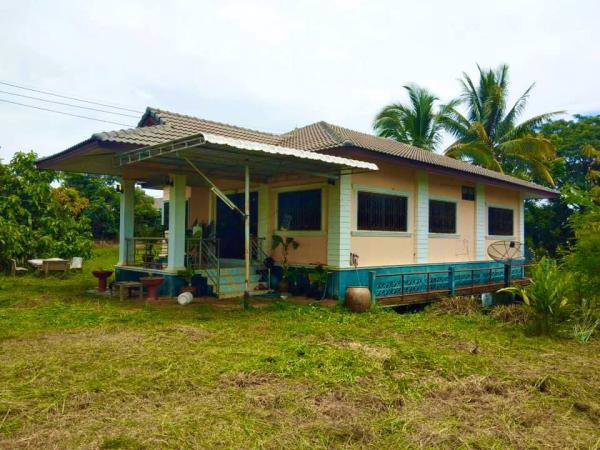 ขายด่วน-บ้านเดี่ยวชั้นเดียว-ริมสระน้ำ-บนพื้นที่-3งาน-656ตรว-บรรยากาศดี-ป่าแดด-เชียงราย