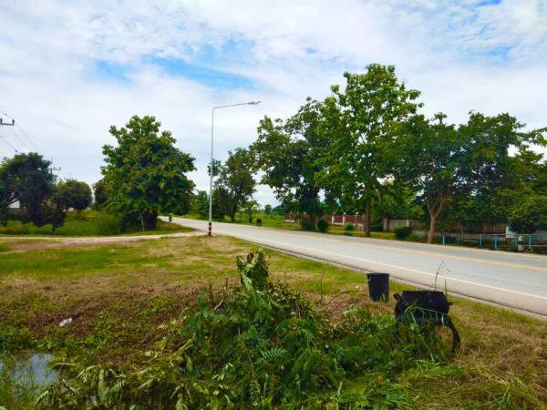 ขายด่วน-บ้านเดี่ยวชั้นเดียว-ริมสระน้ำ-บนพื้นที่-3งาน-656ตรว-บรรยากาศดี-ป่าแดด-เชียงราย