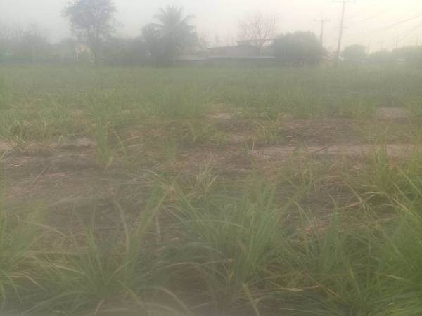 ขายที่ดิน-3-2-22-และอีกแปลง-11ไร่-ในกาฬสินธ์-ติดโรงงานน้ำตาลมิตรผลกาฬสินธ์-อยู่ติดถนนใหญ่-4-เลน