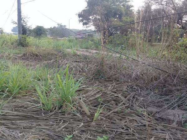 ขายที่ดิน-3-2-22-และอีกแปลง-11ไร่-ในกาฬสินธ์-ติดโรงงานน้ำตาลมิตรผลกาฬสินธ์-อยู่ติดถนนใหญ่-4-เลน