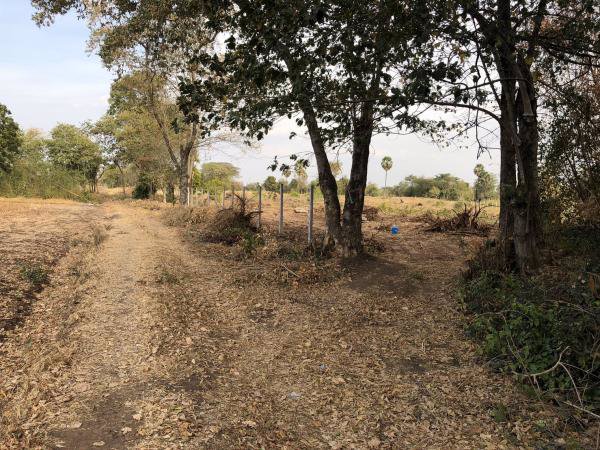 ขายที่ดิน-2-แปลง-รวมเนื้อที่-10-3-63-ไร่-อโนนไทย-จนครราชสีมา