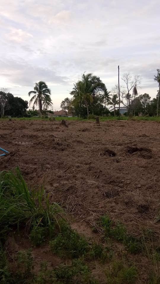 ขายที่ดิน-พื้นที่สีม่วง-33-ไร่-บ่อวิน-อศรีราชา-จชลบุรี