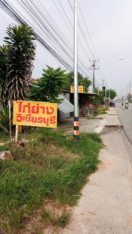 ขายที่ดิน-พื้นที่สีม่วง-33-ไร่-บ่อวิน-อศรีราชา-จชลบุรี