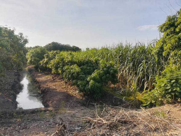 ขายด่วนที่ดิน-3ไร่-รูปแปลงสวย-ทำเลดี-อบางเลน-จนครปฐม