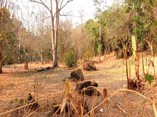 ขายที่ดิน-348-ตรวติดลำธารแปลงสวยติดถนนหลัก-1269-สะเมิง-หางดง