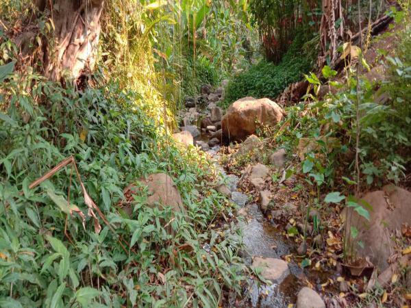 ขายที่ดิน-348-ตรวติดลำธารแปลงสวยติดถนนหลัก-1269-สะเมิง-หางดง