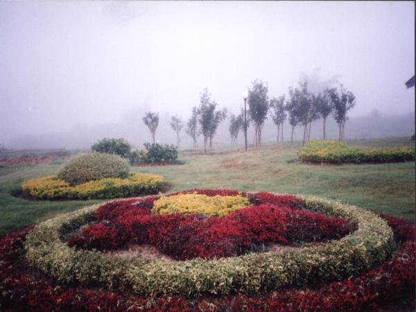 ขายที่ดิน-383-ไร่-เชียงรายแปลงสวย-วิวเขา-ติดน้ำแม่อิงตั้งอยู่ท่ามกลางขุนเขา-ทะเลหมอกและสายน้ำ