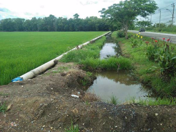 สนอขายที่ดินแปลงสวย-ทำเลดี-ราคาถูก-มีนบุรี-หนองจอก-เนื้อที่-1800-ไร่