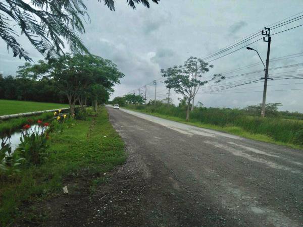 สนอขายที่ดินแปลงสวย-ทำเลดี-ราคาถูก-มีนบุรี-หนองจอก-เนื้อที่-1800-ไร่