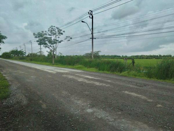 สนอขายที่ดินแปลงสวย-ทำเลดี-ราคาถูก-มีนบุรี-หนองจอก-เนื้อที่-1800-ไร่