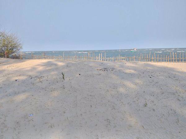 ขายที่ดินติดทะเลชะอำ​-3​-ไร่​-0-งาน-96​-ตารางวา-แถมที่ครอบครองอีก2​-ไร่-พื้นทีติดกัน