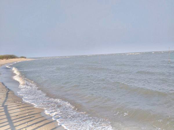 ขายที่ดินติดทะเลชะอำ​-3​-ไร่​-0-งาน-96​-ตารางวา-แถมที่ครอบครองอีก2​-ไร่-พื้นทีติดกัน