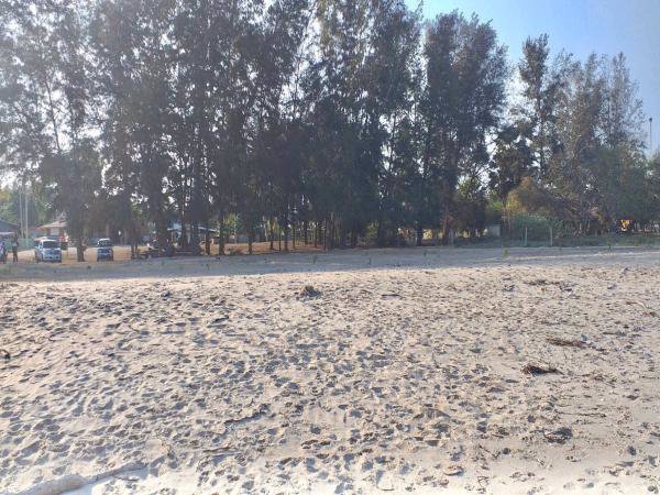 ขายที่ดินติดทะเลชะอำ​-3​-ไร่​-0-งาน-96​-ตารางวา-แถมที่ครอบครองอีก2​-ไร่-พื้นทีติดกัน