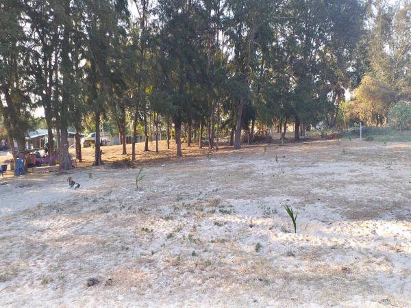 ขายที่ดินติดทะเลชะอำ​-3​-ไร่​-0-งาน-96​-ตารางวา-แถมที่ครอบครองอีก2​-ไร่-พื้นทีติดกัน