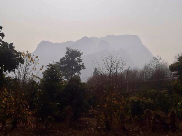 ขายที่ดินติดน้ำปิงเชียงดาว-วิวเขา-2แปลง-จะซื้อแยกหรือซื้อรวมทั้งหมดก็ได้