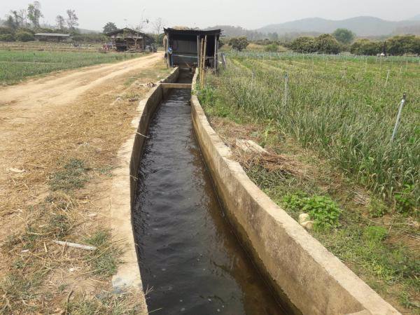 ขายที่ดินติดน้ำปิงเชียงดาว-วิวเขา-2แปลง-จะซื้อแยกหรือซื้อรวมทั้งหมดก็ได้