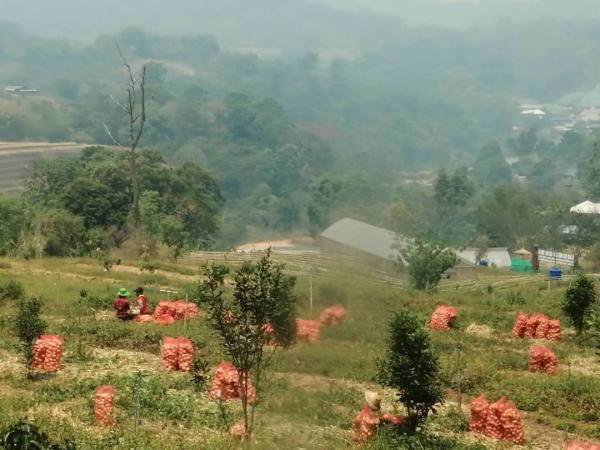 ขายที่ดินแปลงสวยวิว-360-องศา-แม่ริม-เชียงใหม่-เนื้อที่-4-2-30-ไร่