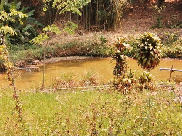 ขายที่ดินแปลงสวยวิว-360-องศา-แม่ริม-เชียงใหม่-เนื้อที่-4-2-30-ไร่