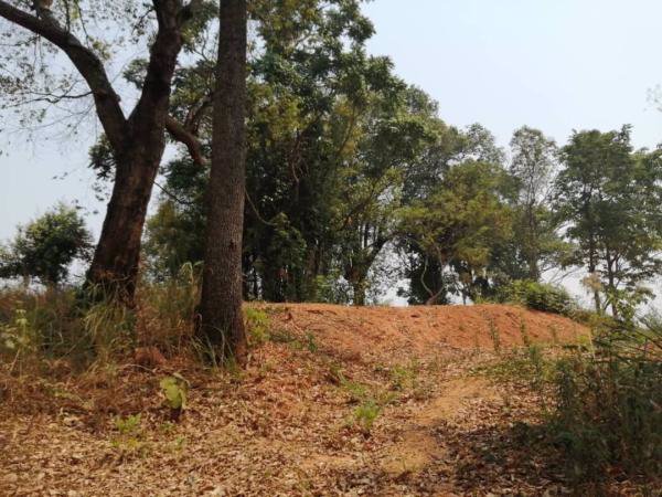 ขายที่ดินแปลงสวยวิว-360-องศา-แม่ริม-เชียงใหม่-เนื้อที่-4-2-30-ไร่