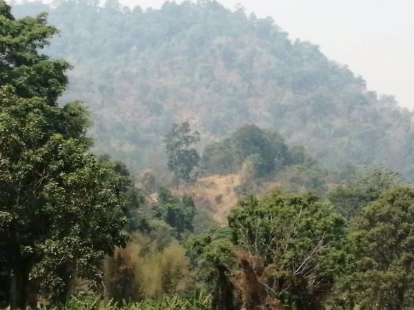 ขายที่ดินแปลงสวยวิว-360-องศา-แม่ริม-เชียงใหม่-เนื้อที่-4-2-30-ไร่