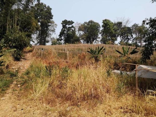 ขายที่ดินแปลงสวยวิว-360-องศา-แม่ริม-เชียงใหม่-เนื้อที่-4-2-30-ไร่