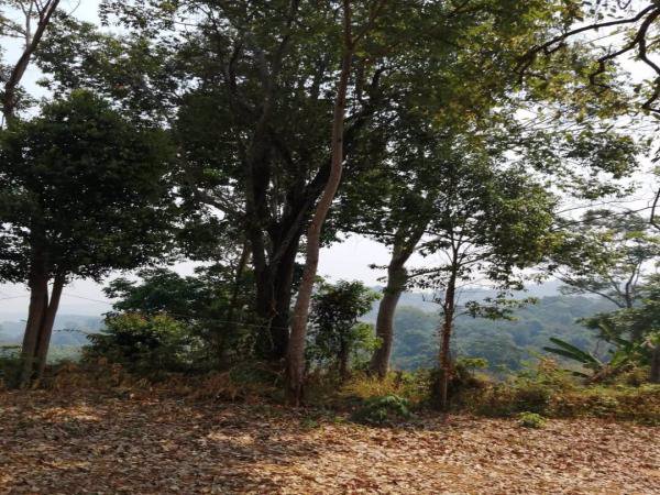 ขายที่ดินแปลงสวยวิว-360-องศา-แม่ริม-เชียงใหม่-เนื้อที่-4-2-30-ไร่