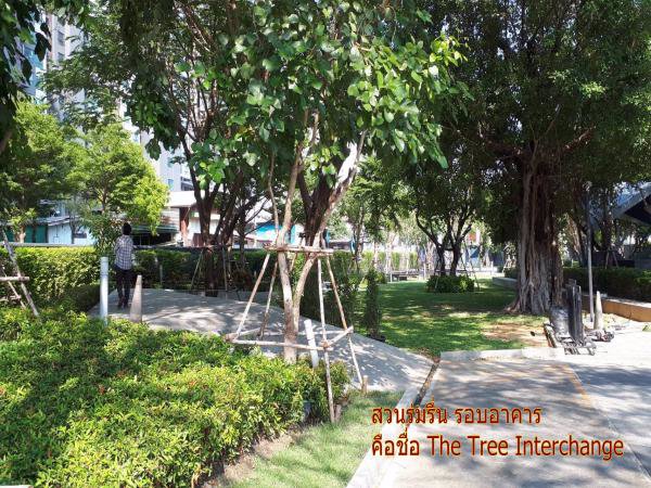 ขายคอนโด-เดอะ-ทรี-อินเตอร์เชนจ์-พื้นที่ห้อง-35ตรม-ใกล้-bts