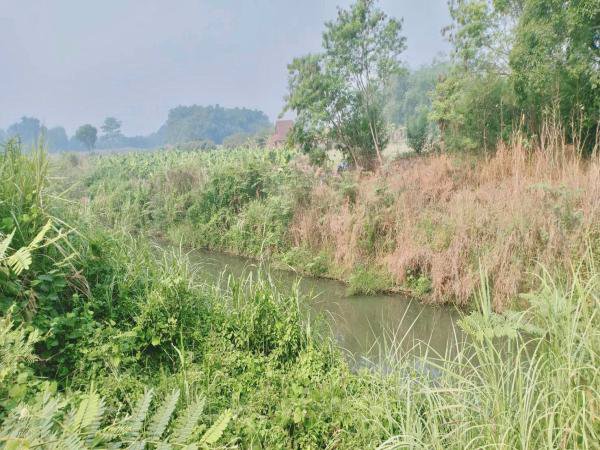 ที่ดินติดน้ำปิงแปลงสวยโซนท่องเที่ยว-แม่แตง-เชียงใหม่-เนื้อที่-14-2-41-ไร่