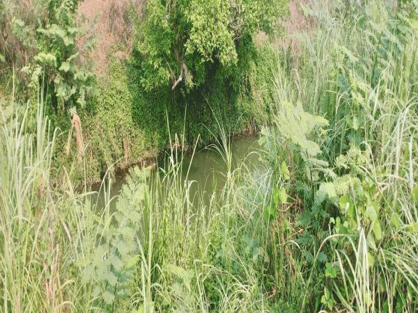 ที่ดินติดน้ำปิงแปลงสวยโซนท่องเที่ยว-แม่แตง-เชียงใหม่-เนื้อที่-14-2-41-ไร่