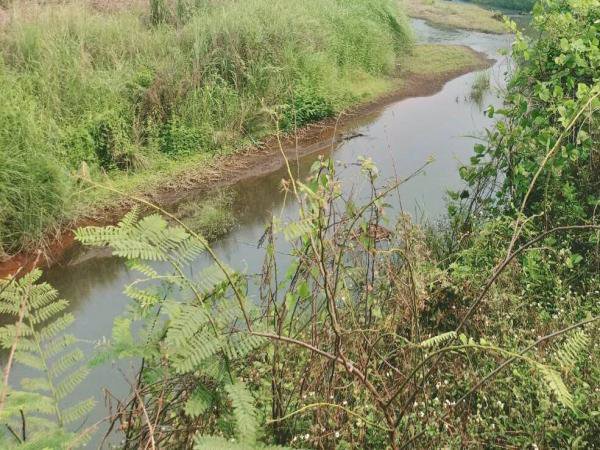 ที่ดินติดน้ำปิงแปลงสวยโซนท่องเที่ยว-แม่แตง-เชียงใหม่-เนื้อที่-14-2-41-ไร่