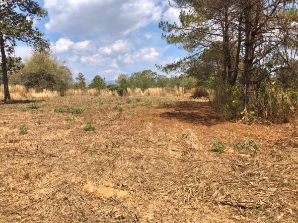 ขายที่ดินวิวสวยโซนท่องเที่ยว-ภูเรือ-จังหวัดเลย-เนื้อที่-17-ไร่-แถมบ้าน-1-หลัง