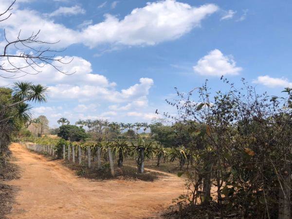 ขายที่ดินวิวสวยโซนท่องเที่ยว-ภูเรือ-จังหวัดเลย-เนื้อที่-17-ไร่-แถมบ้าน-1-หลัง